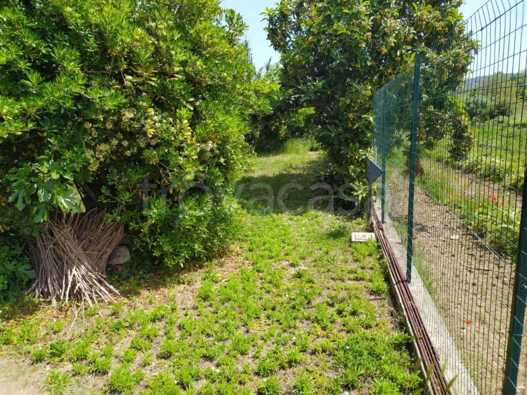 immagine annuncio 6 di 12