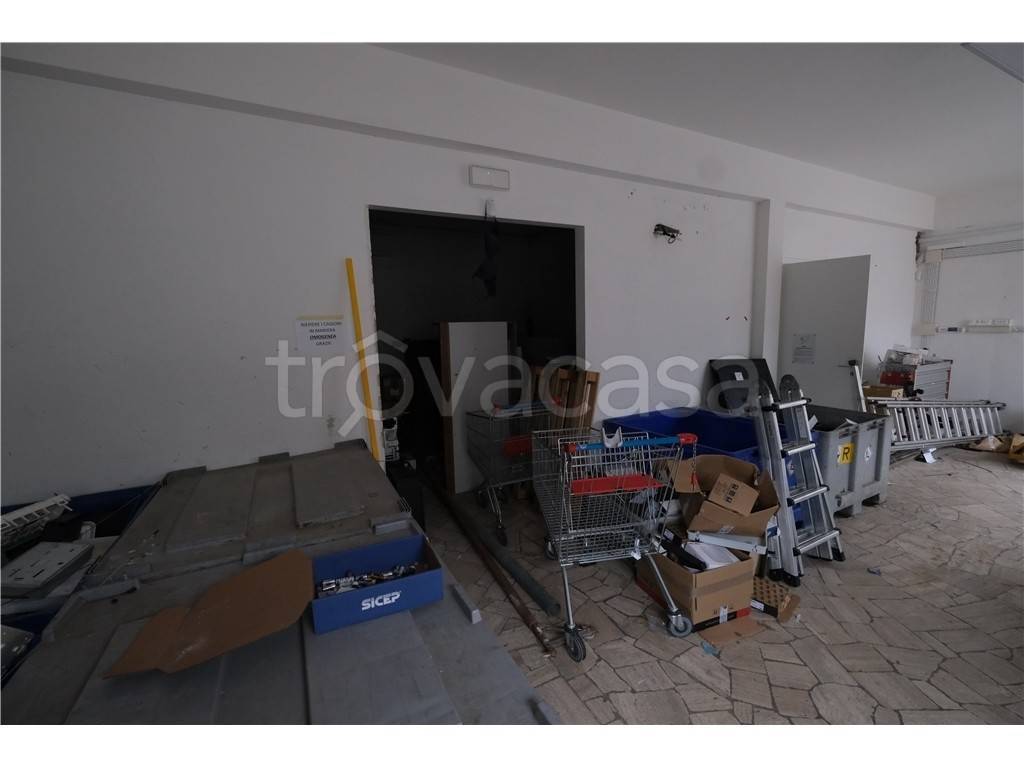 immagine annuncio 3 di 14