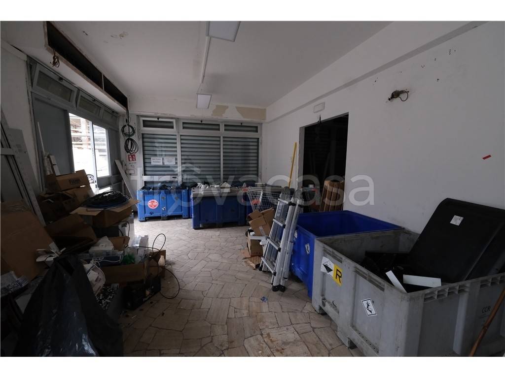 immagine annuncio 5 di 14