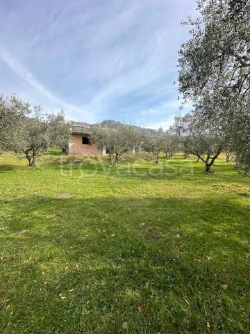 immagine annuncio 2 di 12