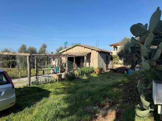 Terreno agricolo in vendita a san vincenzo 