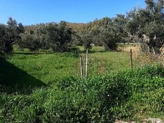 Terreno agricolo in vendita a catanzaro viale fiume busento