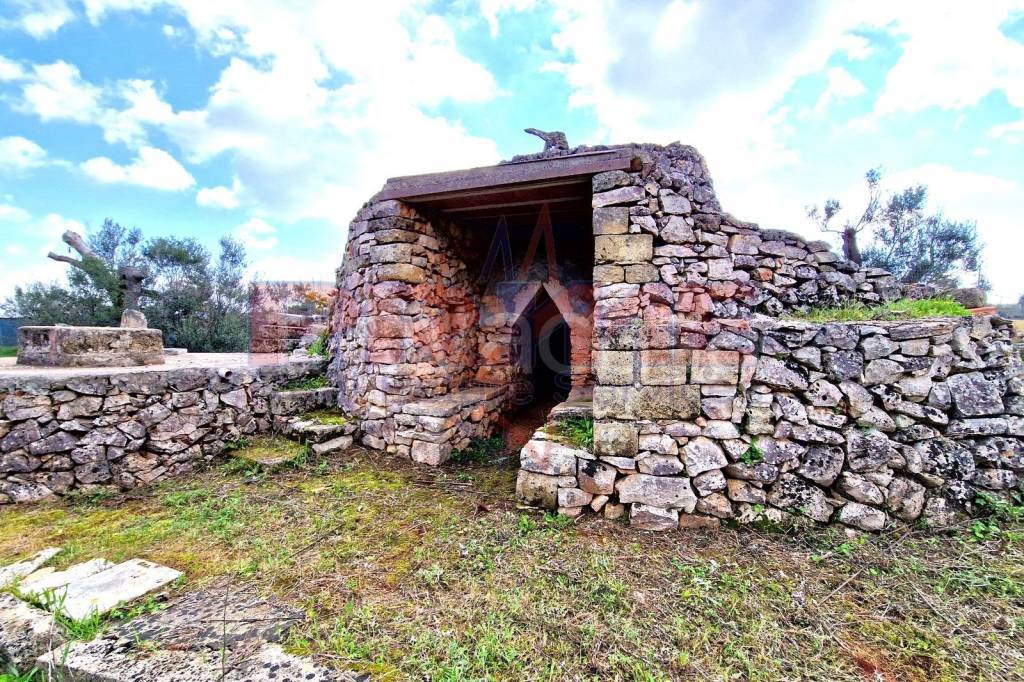 immagine annuncio 9 di 13