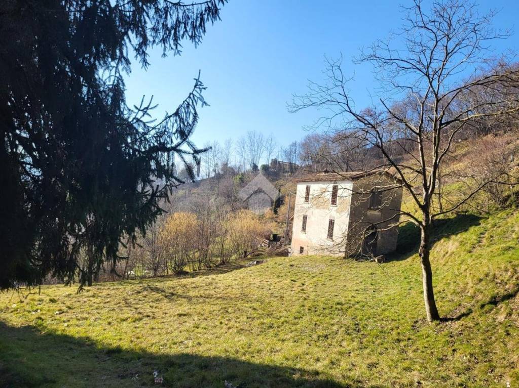 immagine annuncio 2 di 11