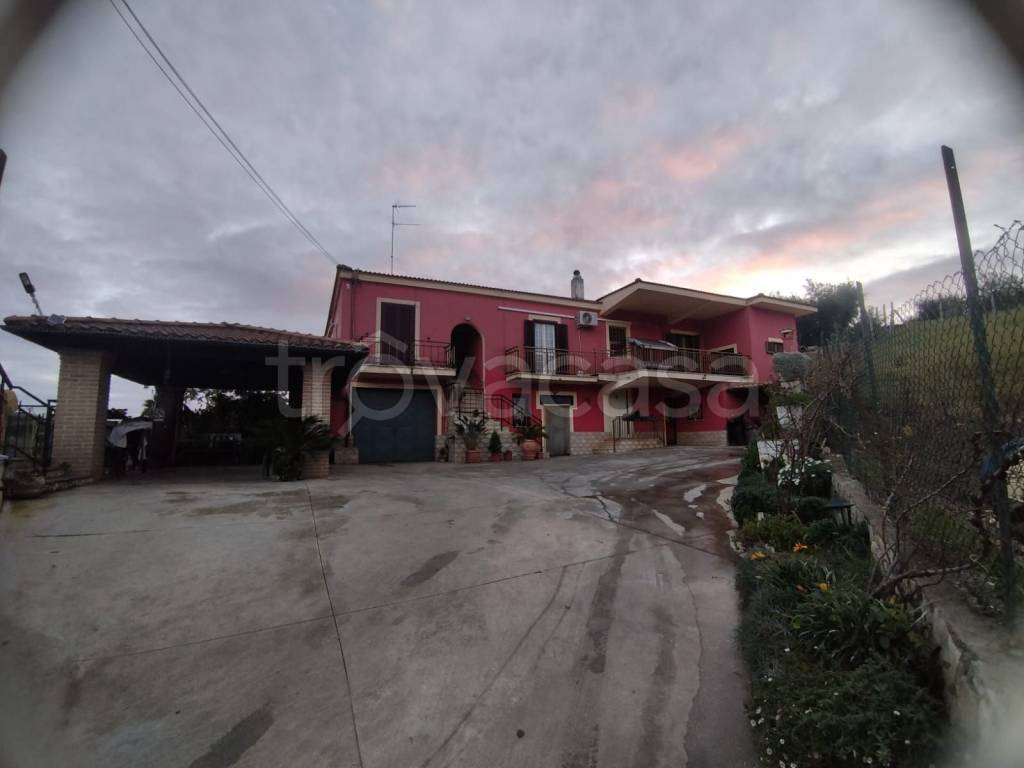 immagine annuncio 8 di 13