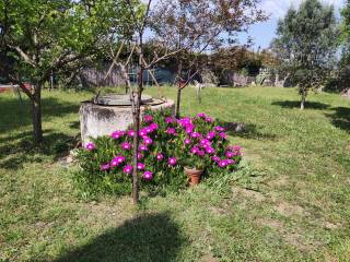 Terreno agricolo in vendita a tarquinia località san giorgio