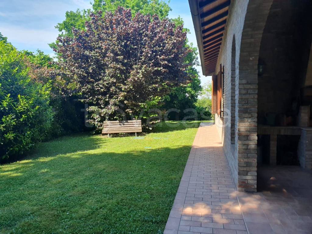 immagine annuncio 5 di 11