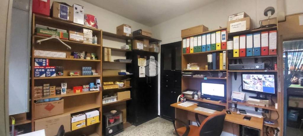 immagine annuncio 12 di 14