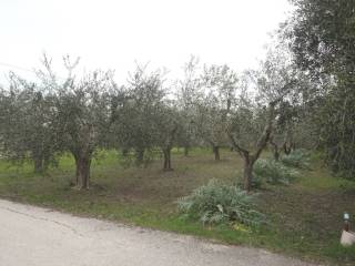 Terreno residenziale in vendita a martinsicuro via nemezio ricci