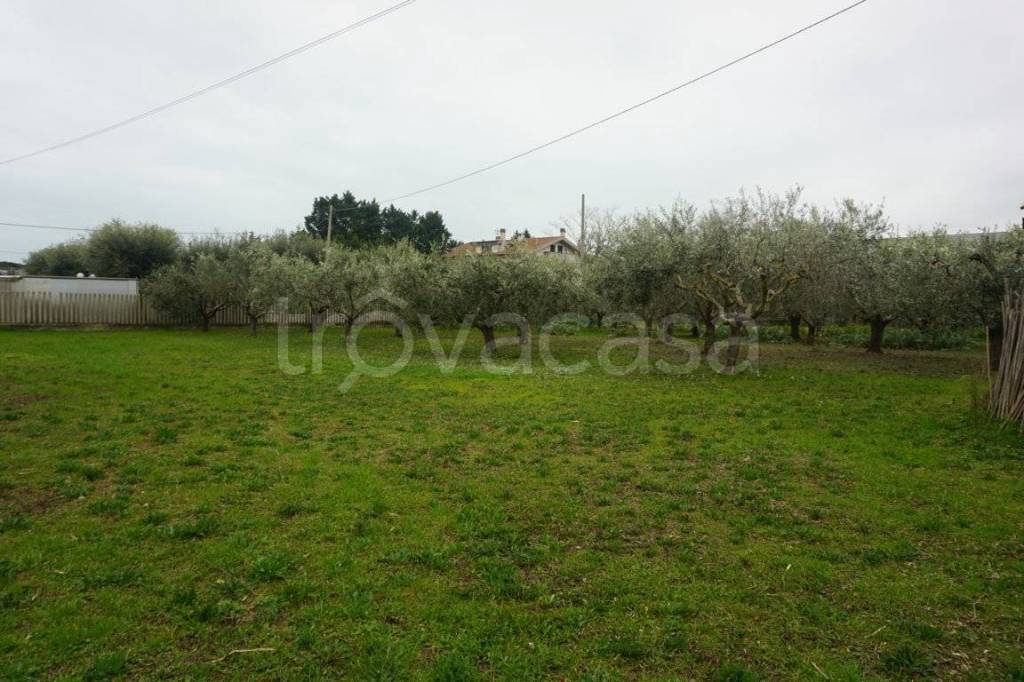 immagine annuncio 3 di 6
