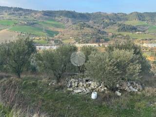 Terreno agricolo in vendita a ripatransone bore tesino