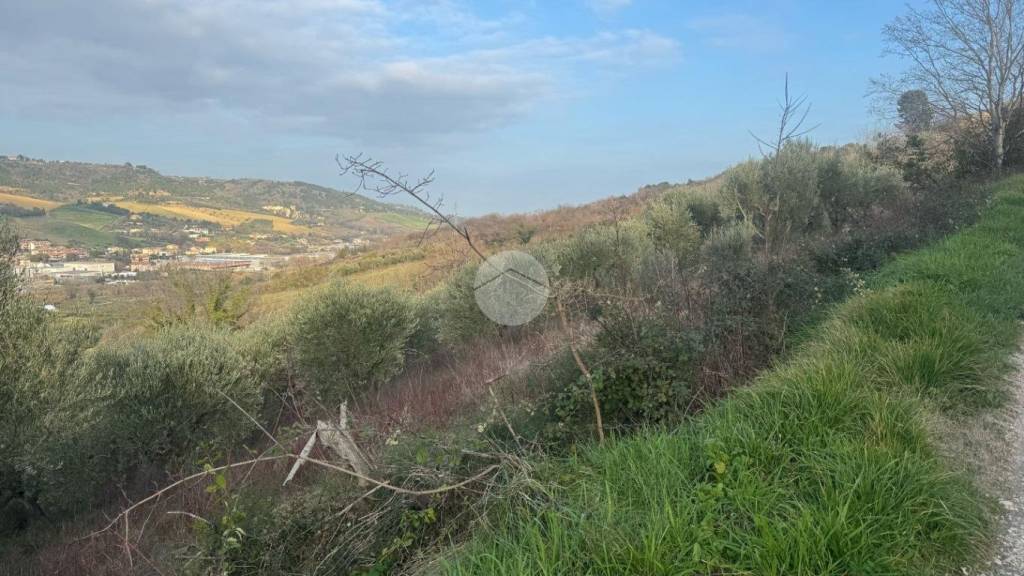 immagine annuncio 8 di 14
