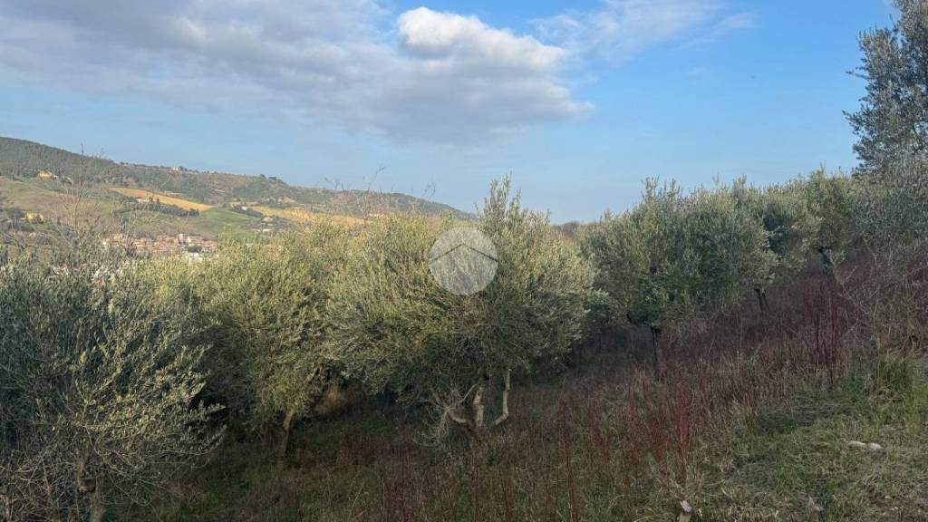 immagine annuncio 13 di 14
