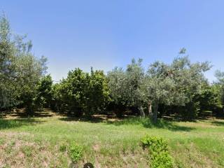 Terreno agricolo in vendita a soriano nel cimino strada provinciale molinella