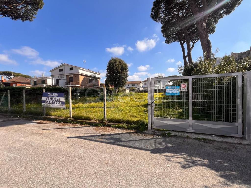 immagine annuncio 5 di 10