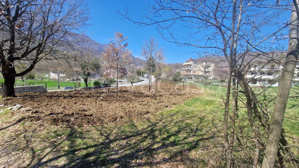 immagine annuncio 3 di 6
