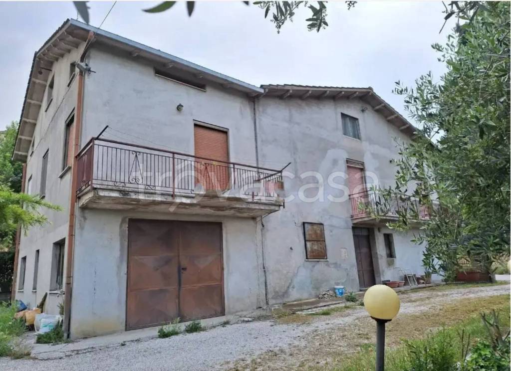 immagine annuncio 3 di 11