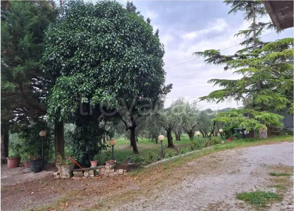 immagine annuncio 9 di 11