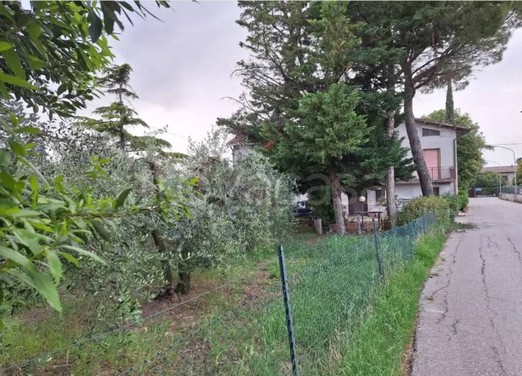 immagine annuncio 10 di 11