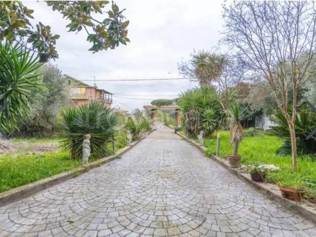 immagine annuncio 4 di 7