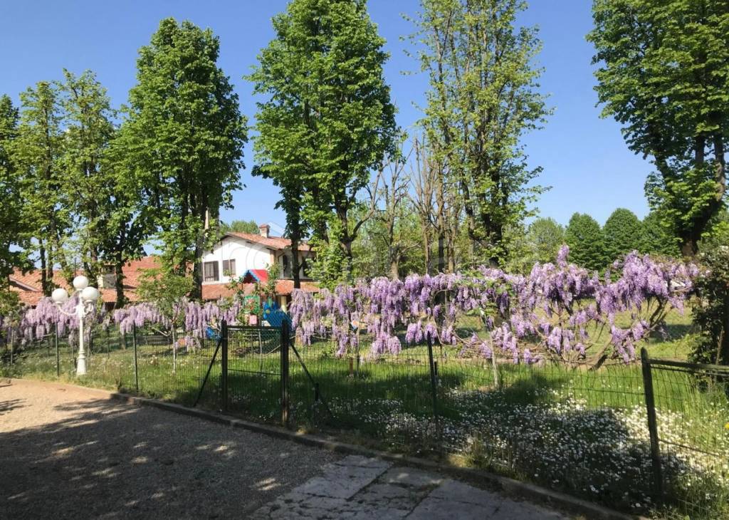 immagine annuncio 7 di 15