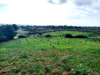 Terreno agricolo in vendita a villapiana contrada rossi