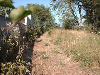 Terreno agricolo in vendita a caserta via carlo rapugliano, 25