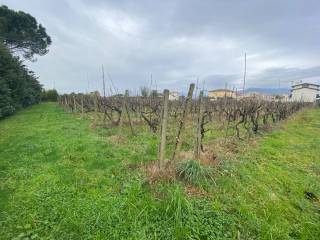 Terreno agricolo in vendita a campi bisenzio 