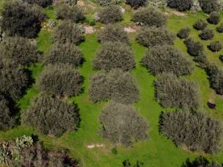 Terreno agricolo in vendita a enna strada extraurbana n 222