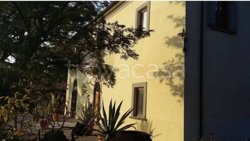 immagine annuncio 5 di 7