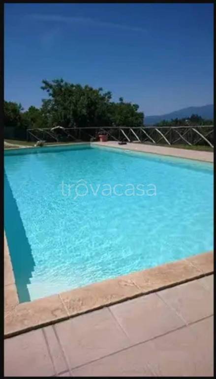 immagine annuncio 4 di 6