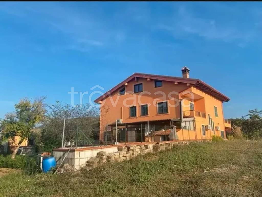 immagine annuncio 4 di 6