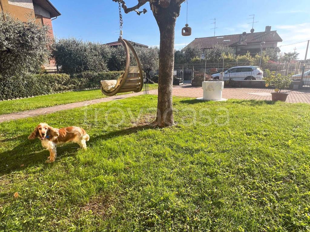 immagine annuncio 6 di 15