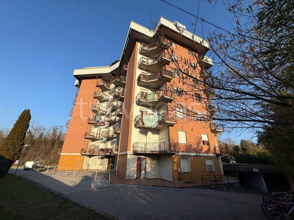 immagine annuncio 5 di 11