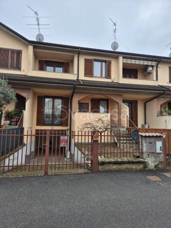 immagine annuncio 3 di 15