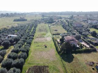 Terreno agricolo in vendita a fiano romano via tiberina, 148