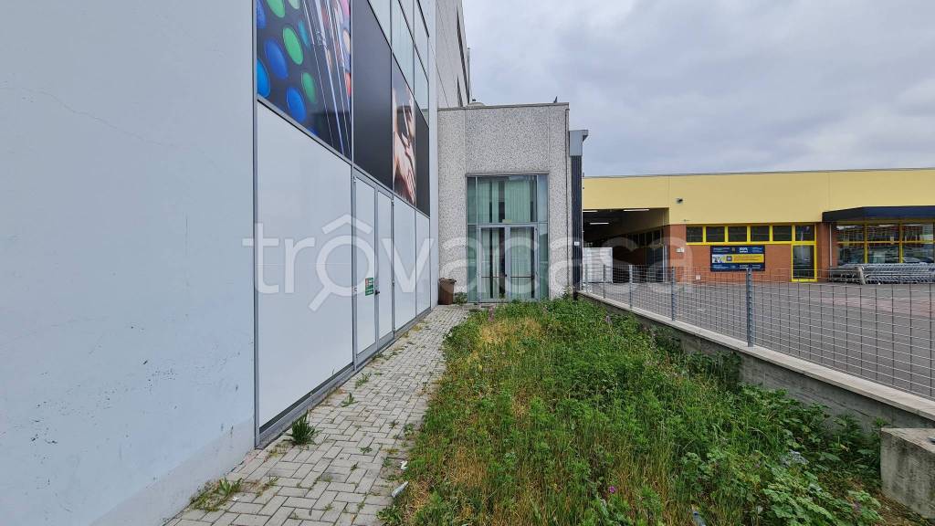 immagine annuncio 2 di 14