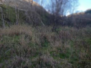 Terreno agricolo all'asta a zumpano viaducto bicentenario zumpango