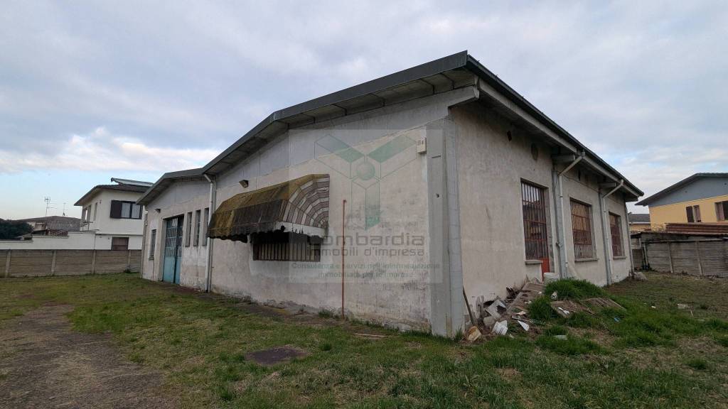 immagine annuncio 7 di 15