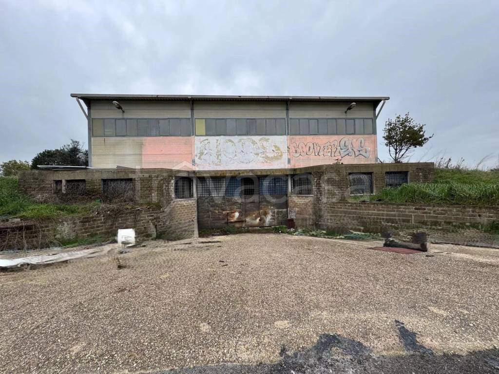 immagine annuncio 4 di 6
