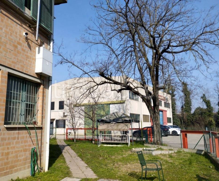 immagine annuncio 5 di 15