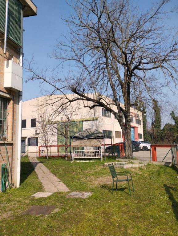 immagine annuncio 6 di 15