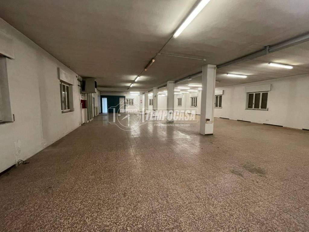immagine annuncio 3 di 12
