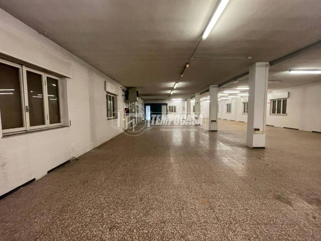 immagine annuncio 7 di 12
