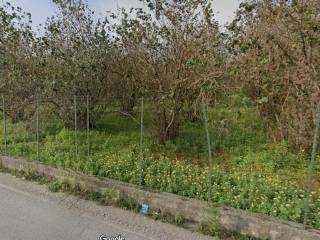 Terreno agricolo in vendita a san giuseppe vesuviano via marini, 20