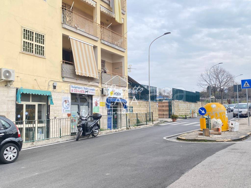 immagine annuncio 5 di 10