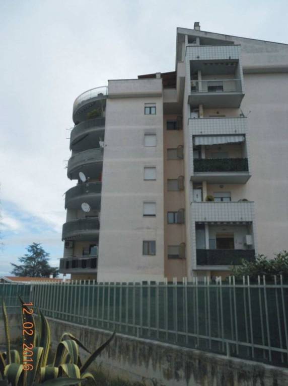 immagine annuncio 3 di 11