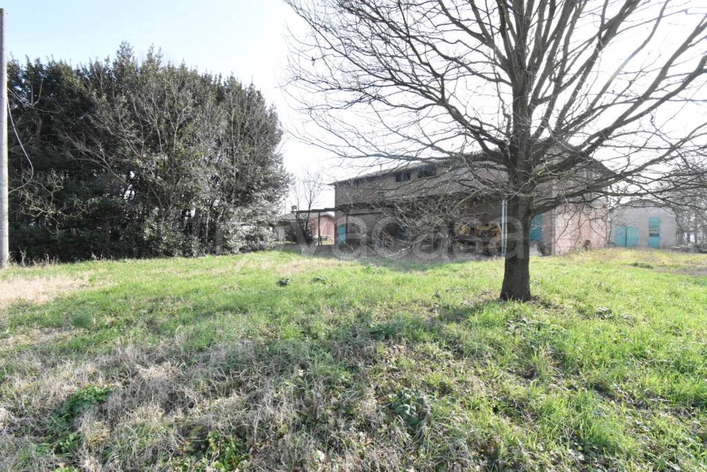 immagine annuncio 3 di 6