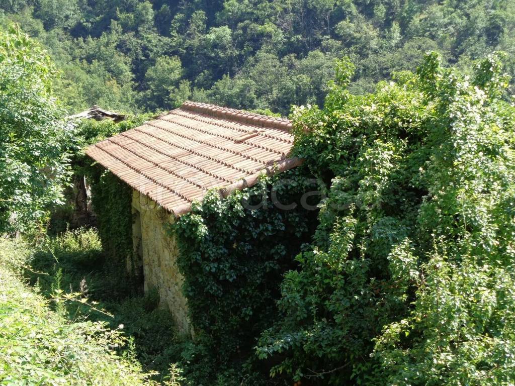 immagine annuncio 3 di 6