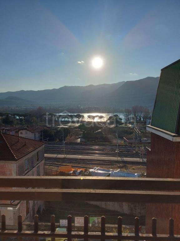 immagine annuncio 6 di 7